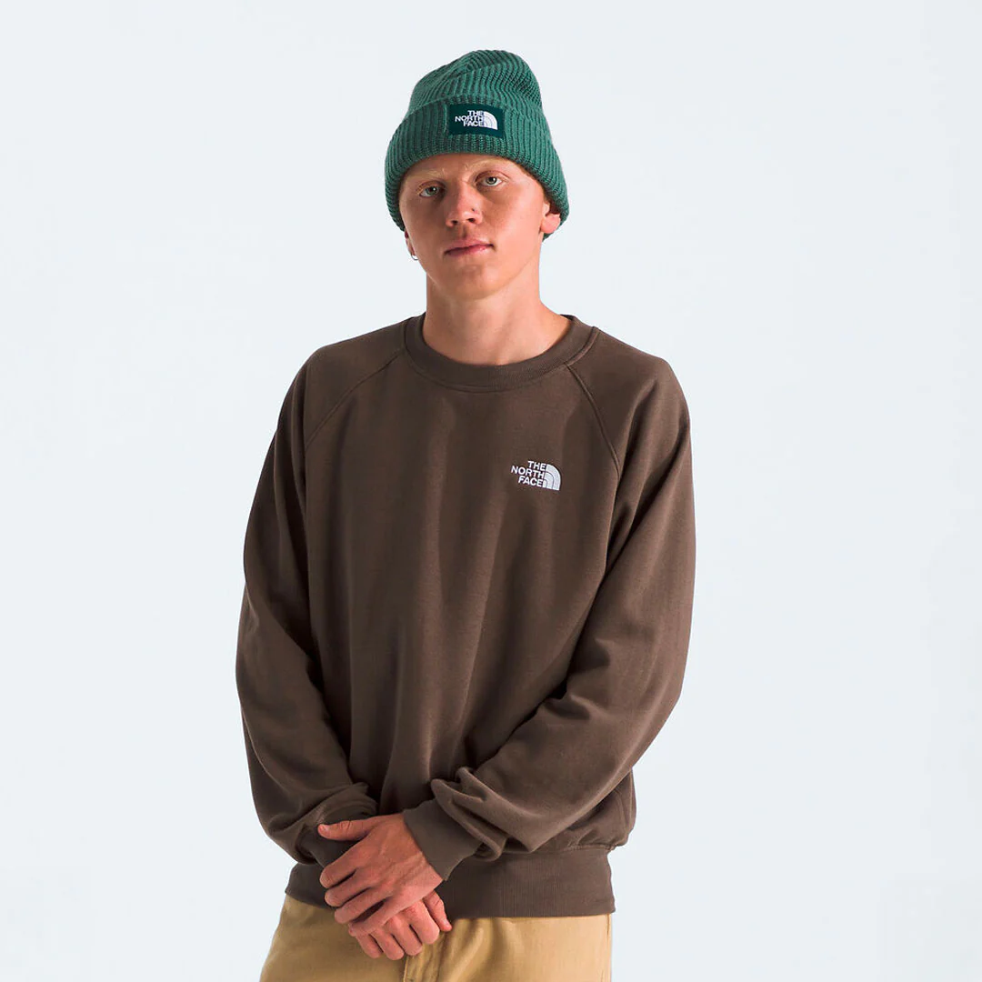 Buzo the north face Evo en marron